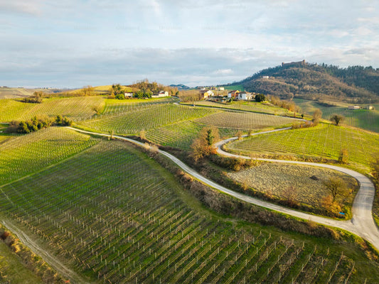 Diverse malen per jaar organiseert Pane e Vino diverse wijnreizen naar Italie.